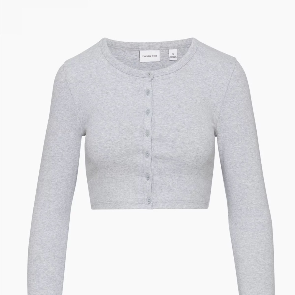 Aritizia Sunday Best Apple Longsleeve